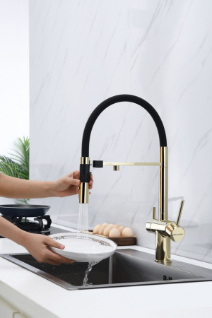  Paulmark Magneto Ma213118-G   , 