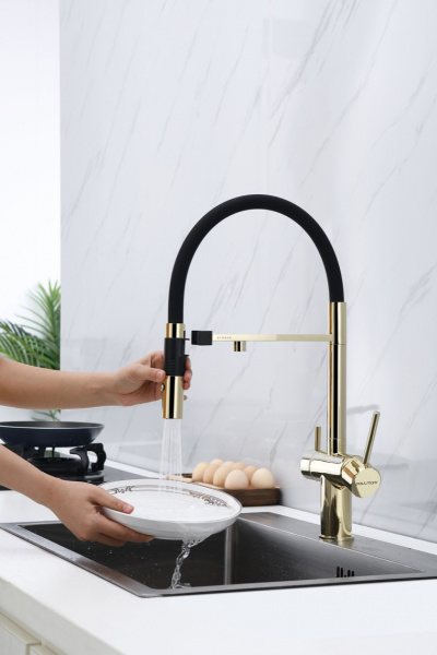  Paulmark Magneto Ma213118-G   , 