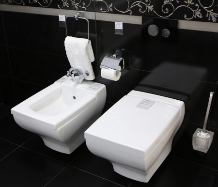 �������� ������ ��������� Villeroy & Boch Boch La Bellet � ������������ Villeroy & Boch Boch � ������� ����� Viconnect �����