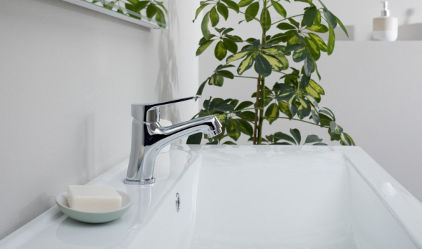  Bravat Emeralda TF1135147CP-RUS  , 