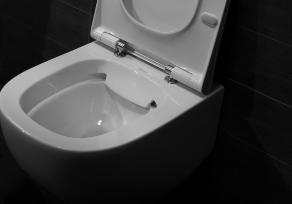 ��������  ������ ��������� Pestan Fluenta Rimless 40006661 ������������ + ������� ����������� ��� �������� Ideal Standard ProSys Eco Frame 2.0 R0464AC