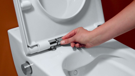 ������ ��������� Laufen Navia 8.2060.1.400.000.1