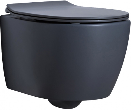 Унитаз подвесной Allen Brau Fantasy 4.11004.AN антрацит Унитаз подвесной Allen Brau Fantasy 4.11004.AN антрацит