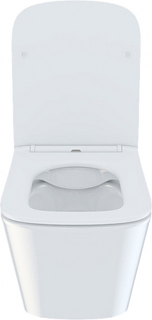 ������ ��������� IDDIS Bild BILRDSEi25 ������� � �����������