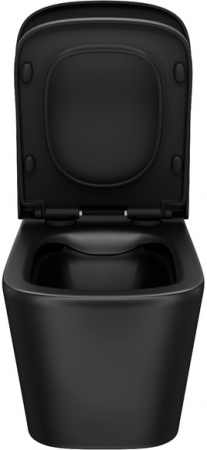 ������ ��������� IDDIS Bild BILR2BMi25 ������������, � �����������