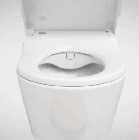 ��������  ������� ����������� ��� �������� Geberit Duofix Delta 458.124.21.1 3 � 1 � ������� ����� + ������ ��������� Roca Inspira in-wash