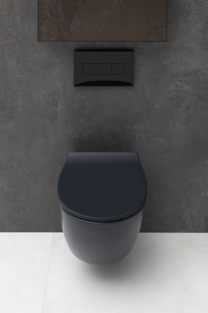 Унитаз подвесной Allen Brau Fantasy 4.11004.31 черный матовый Унитаз подвесной Allen Brau Fantasy 4.11004.31 черный матовый