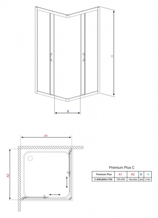 ������� ������ Radaway Premium Plus C 80x190 ������ ������