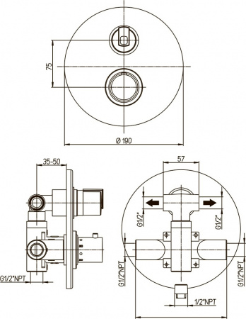  Paini Arena 92CR691TH   ,  ,  