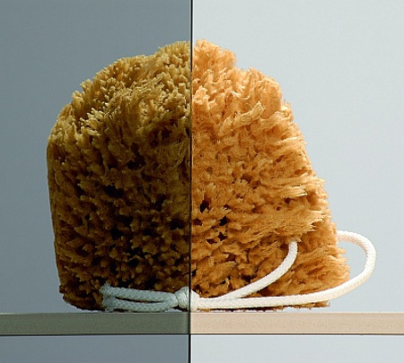   Radaway Torrenta KDJ 90   L