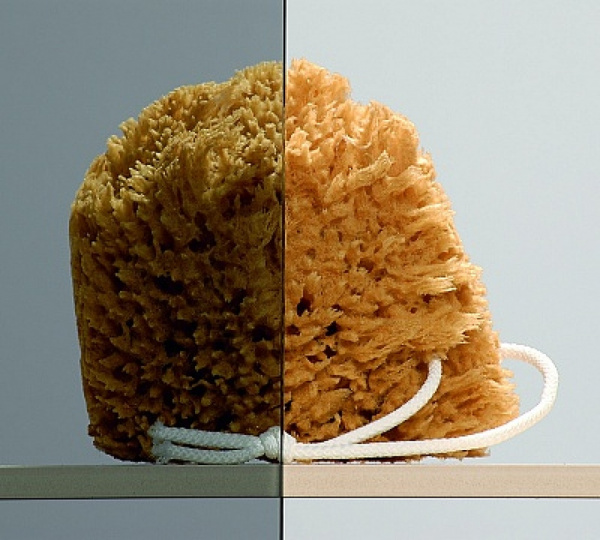   Radaway Torrenta KDJ 90   L