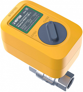  Neptun Profi 12 1/2"