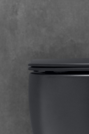 Унитаз подвесной Allen Brau Fantasy 4.11004.31 черный матовый Унитаз подвесной Allen Brau Fantasy 4.11004.31 черный матовый